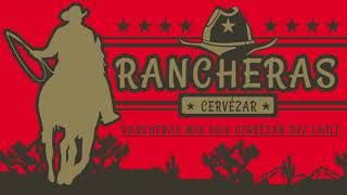 CUMBIA RANCHERA BAILABLE MIX VOL 1 [upl. by Atteyram245]