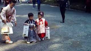 Japanese kids dressed in traditional kimonos  very cute [upl. by Ecyak]