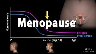 Menopause Perimenopause Symptoms and Management Animation [upl. by Enineg213]