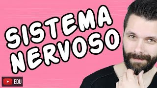 SISTEMA NERVOSO  FISIOLOGIA  Aula  Biologia com Samuel Cunha [upl. by Forrest]