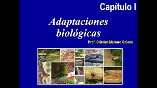 Tipos de adaptaciones biológicas Capítulo I [upl. by Tnomyar646]