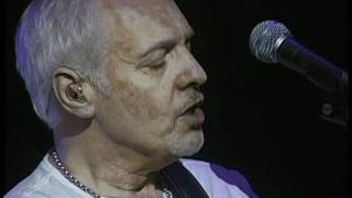 PETER FRAMPTON Lines On My Face 2011 LiVE [upl. by Anaimad]