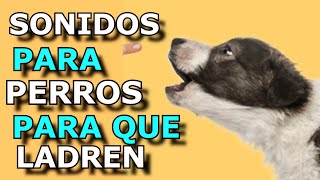 Sonido de Perro 🐶 🐶 Los mejores LADRIDOS DE PERROS 🐶 [upl. by Nodyarg]