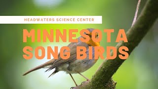 Minnesota Bird Calls [upl. by Lazaruk999]