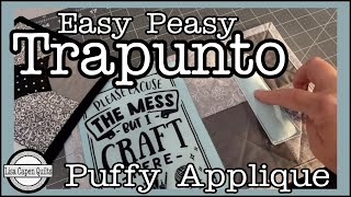 Trapunto PUFFY Applique  3 Easy Ways w Lisa Capen Quilts [upl. by Dyan178]