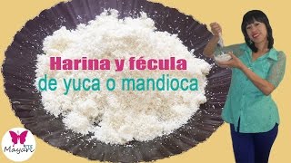 Harina y fécula de yuca o mandioca [upl. by Erdah233]