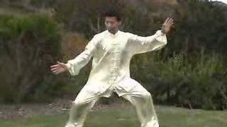 Wu Tai Chi Taiji [upl. by Anaile]