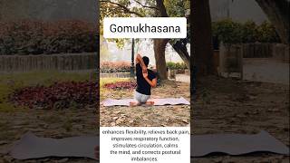 Benefits Of Gomukhasana ✅ [upl. by Arekat]