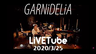 GARNiDELiA LiVETube 2020325 [upl. by Eizzil]