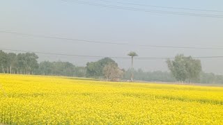 Village life in Jamalpur [upl. by Edelman939]