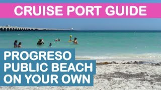 Progreso Yucatán Cruise Port Guide Public Beach On Your Own [upl. by Ellehsram]