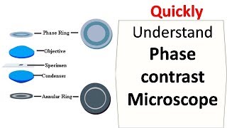 Phase contrast microscope [upl. by Jahdai814]