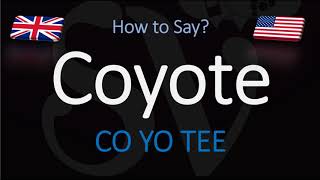 How to Pronounce Coyote  English American Pronunciation [upl. by Patsis255]