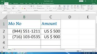 How to Add Currency Symbol Automatically in Excel [upl. by Llenad]