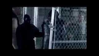 DYSTOPIA 2013 apocalyptic film FULL AUTHORIZED MOVIE [upl. by Laerdna]