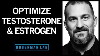 The Science of How to Optimize Testosterone amp Estrogen [upl. by Asenad]