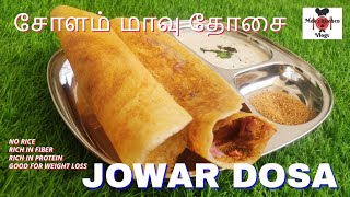 How to make Jowar Dosa recipe in Tamil  சோளம் மாவு தோசை [upl. by Aihsetel]