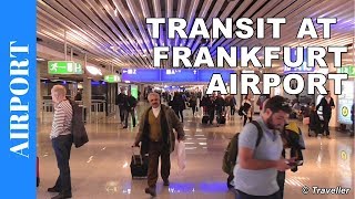 TRANSIT WALK AT FRANKFURT Airport FRA Terminal 1  Connection Flight Transfer Arriving amp Departing [upl. by Shirl170]