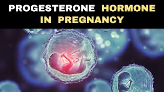 Progesterone The Miracle Hormone during Pregnancy [upl. by Ahser]